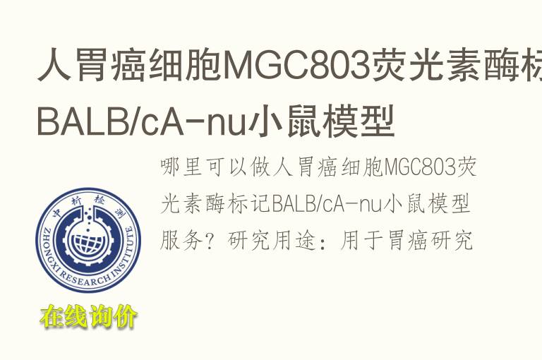 人胃癌细胞MGC803荧光素<font color='red'>酶</font>标记BALB/cA-nu小鼠模型