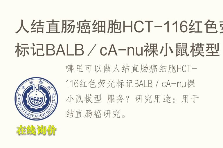 人结直肠癌细胞H<font color='red'>CT</font>-116红色荧光标记BALB／cA-nu裸小鼠模型