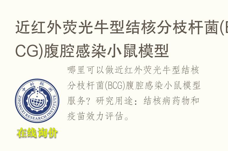 近<font color='red'>红外</font>荧光牛型结核分枝杆菌(BCG)腹腔感染小鼠模型