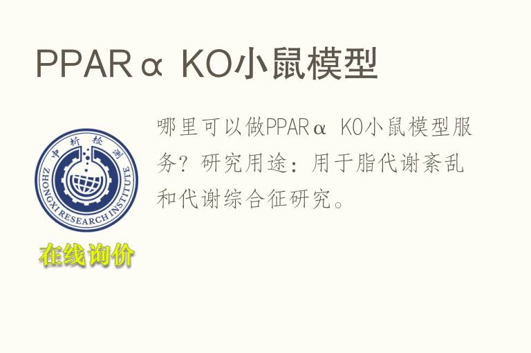 PPARα KO小鼠模型