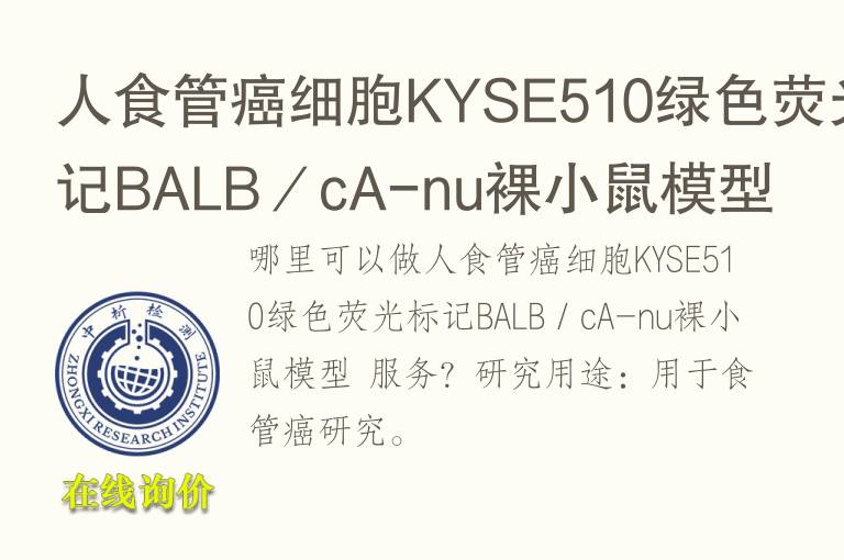 人食管癌细胞KYSE510绿<font color='red'>色</font>荧光标记BALB／cA-nu裸小鼠模型