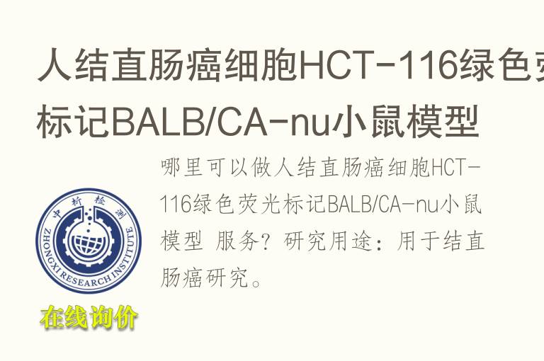 人结直肠癌细胞H<font color='red'>CT</font>-116绿色荧光标记BALB/CA-nu小鼠模型