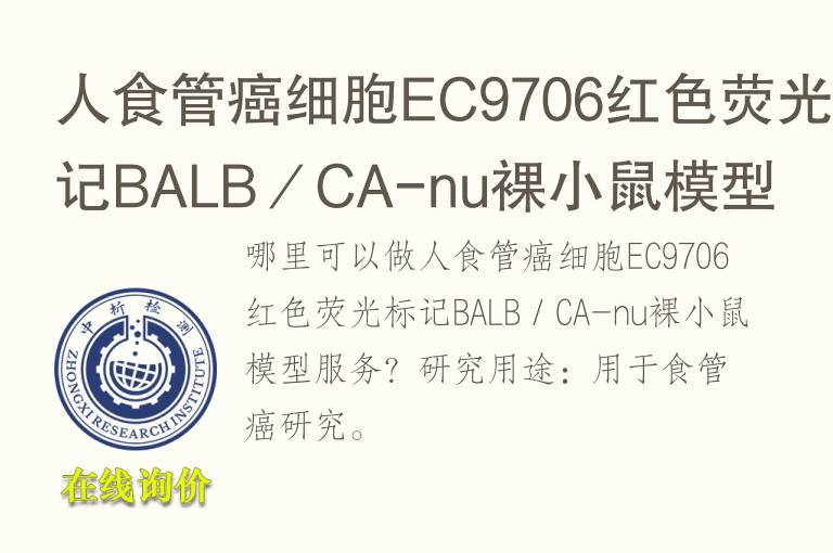 人食管癌细胞EC9706红<font color='red'>色</font>荧光标记BALB／CA-nu裸小鼠模型