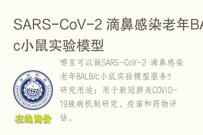 SARS-CoV-2 滴鼻感染老年BALB/c小鼠<font color='red'>实验</font>模型