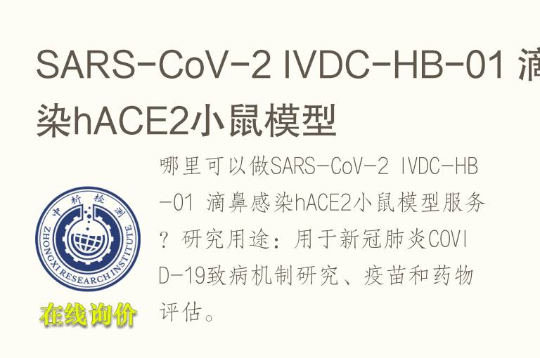 滴鼻感染hACE2小鼠<font color='red'>模型</font>