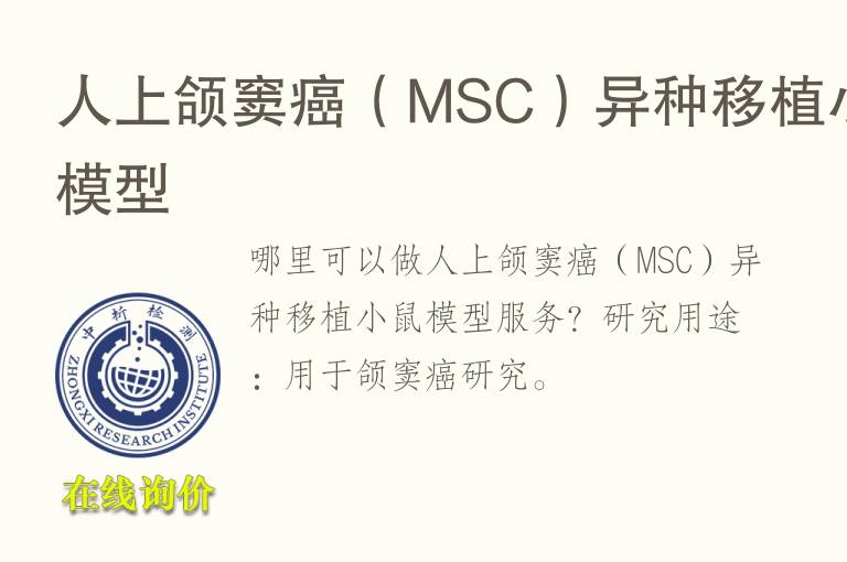 人上颌窦癌（MSC）异种移植小鼠<font color='red'>模型</font>