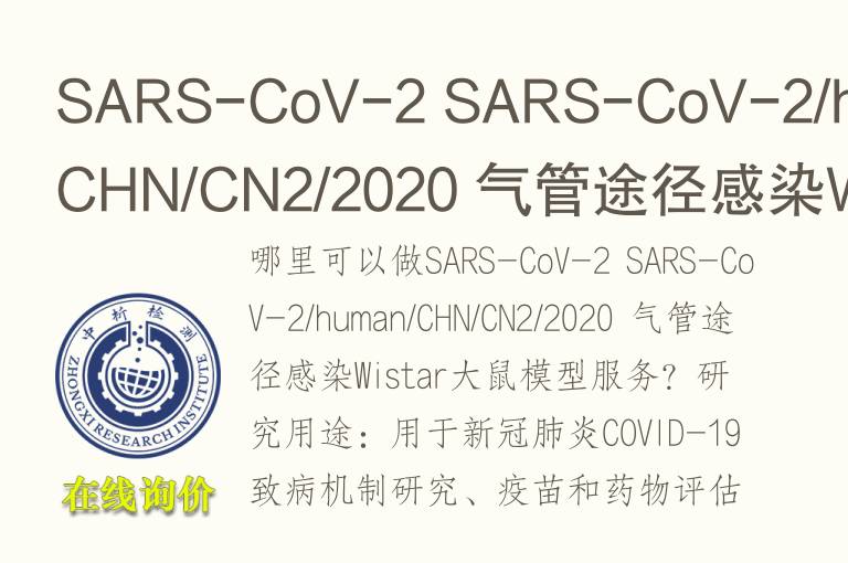 气管途径感染Wistar大鼠模型