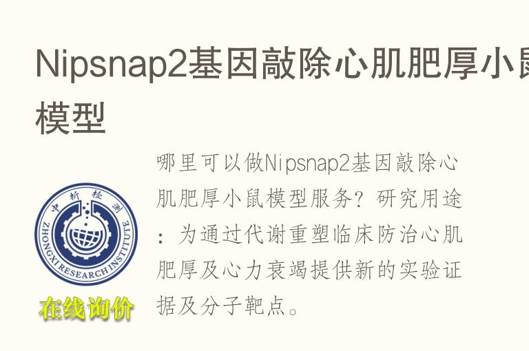 Nipsnap2<font color='red'>基因</font>敲除心肌肥厚小鼠模型