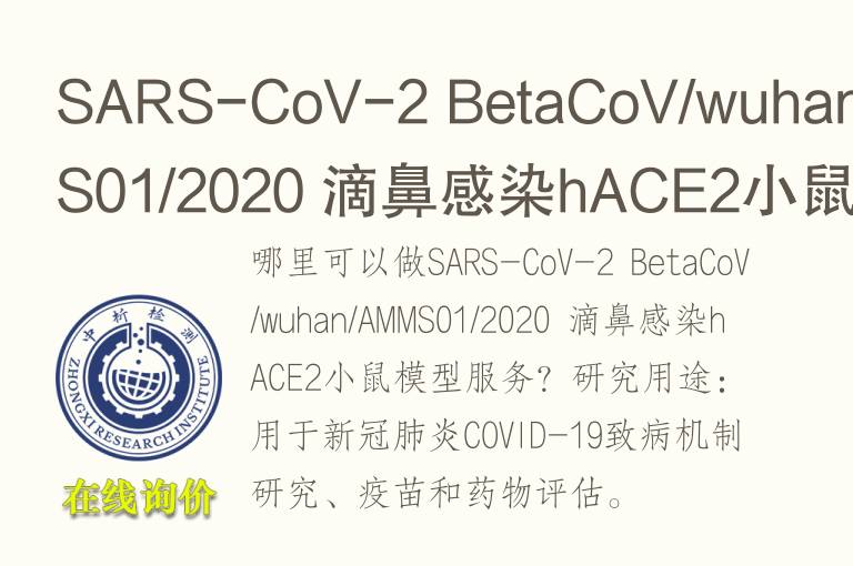 SARS-CoV-2 BetaCoV/wuhan/AMMS01/2020 滴鼻感染hACE2小鼠<font color='red'>模型</font>