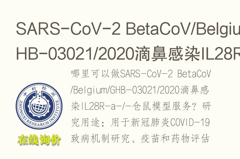 SARS-CoV-2 BetaCoV/Belgium/GHB-03021/2020滴鼻感染IL28R-a-/-仓鼠<font color='red'>模型</font>