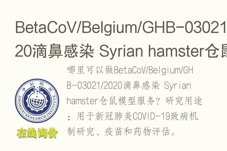 BetaCoV/Belgium/GHB-03021/2020滴鼻感染 Syrian hamster仓鼠<font color='red'>模型</font>