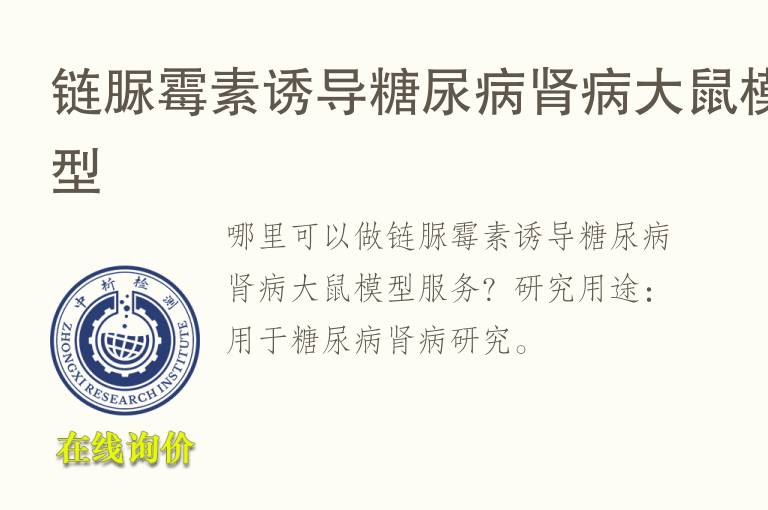链脲霉素诱导<font color='red'>糖</font>尿病肾病大鼠模型