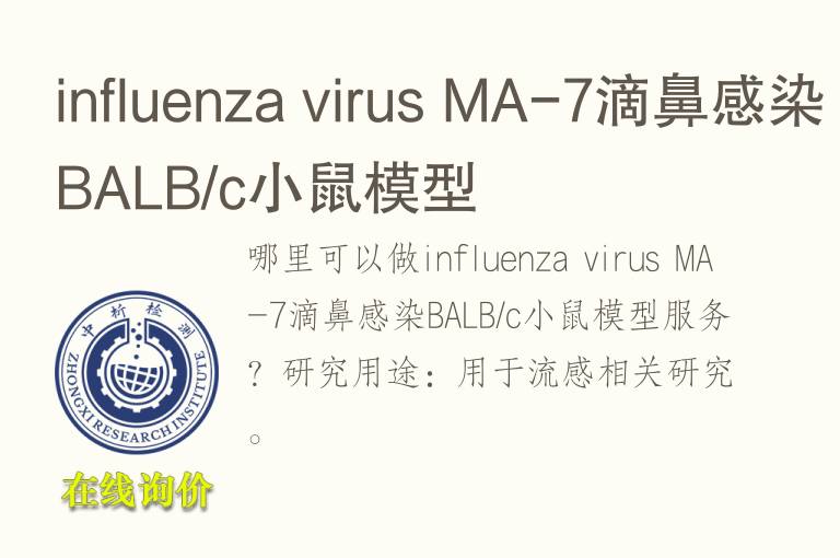influenza virus MA-7滴鼻感染BALB/c小鼠<font color='red'>模型</font>
