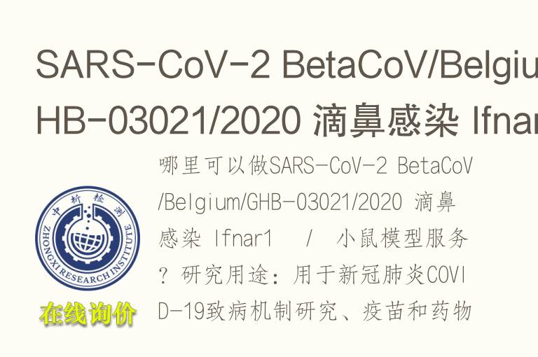 SARS-CoV-2 BetaCoV/Belgium/GHB-03021/2020 滴鼻感染 Ifnar1 −/−小鼠<font color='red'>模型</font>