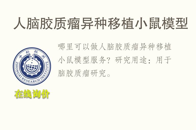 人脑胶质瘤异种移植小鼠<font color='red'>模型</font>