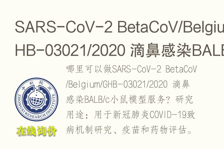 SARS-CoV-2 BetaCoV/Belgium/GHB-03021/2020 滴鼻感染BALB/c小鼠<font color='red'>模型</font>